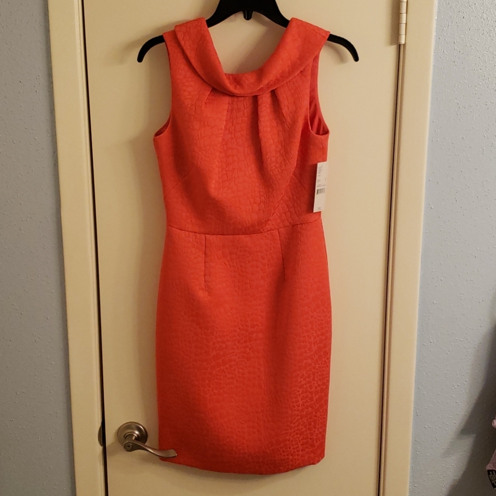 Katherine Kelly Dress